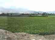 Se vende terreno pachacamac el guayabo 13,500 m2.…